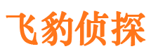 尖山市婚姻调查